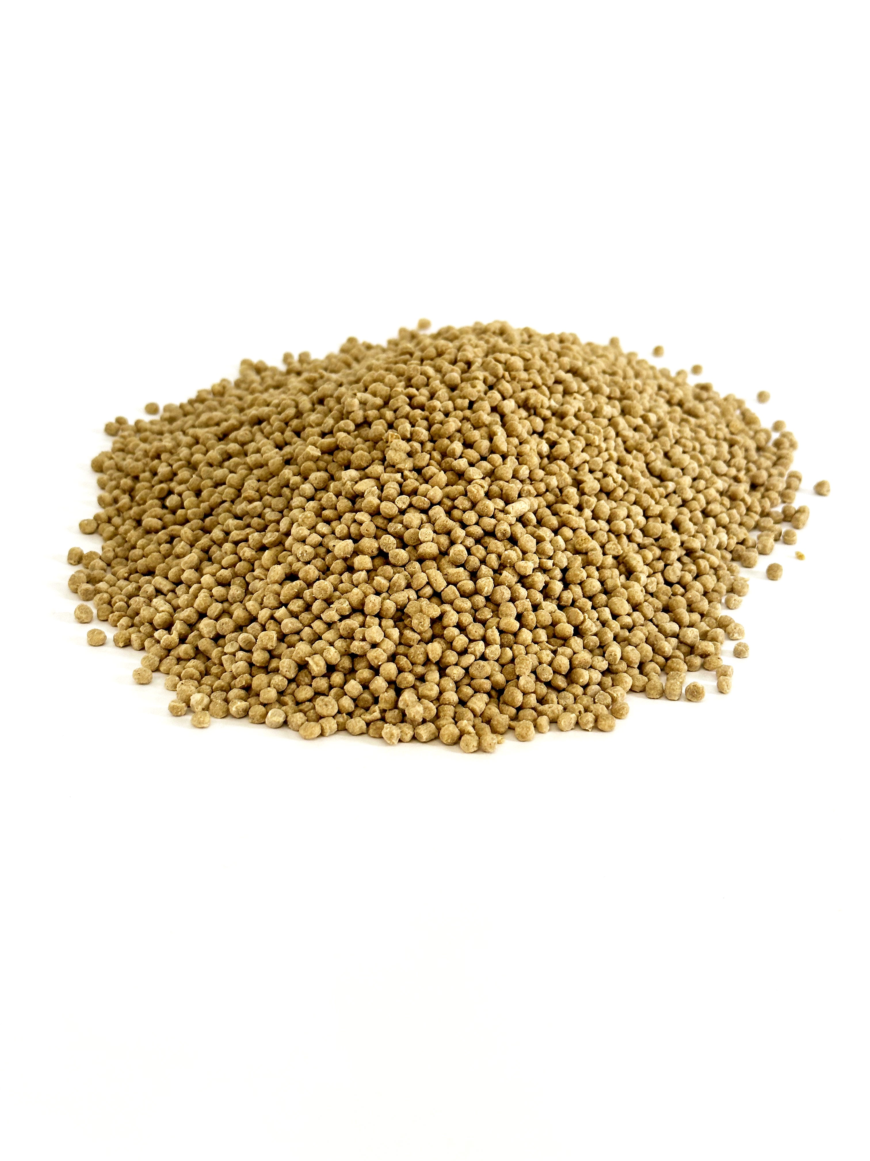 Harrison's Adult Lifetime Fine