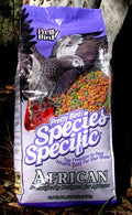 Pretty Bird - Species Specific African Grey