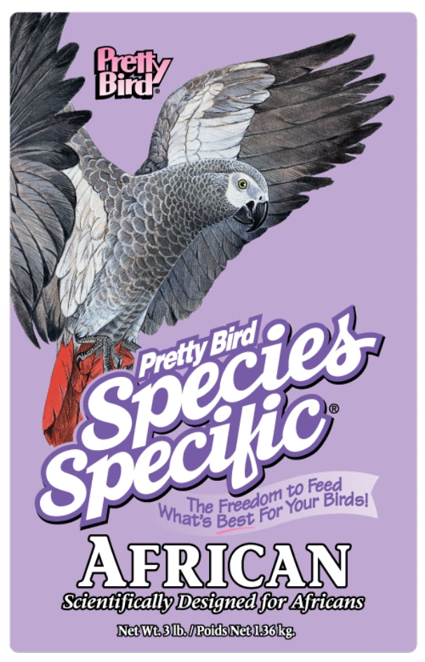 Pretty Bird - Species Specific African Grey