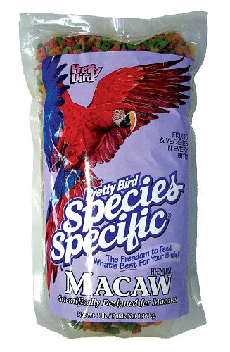Pretty Bird - Hi-Energy Macaw
