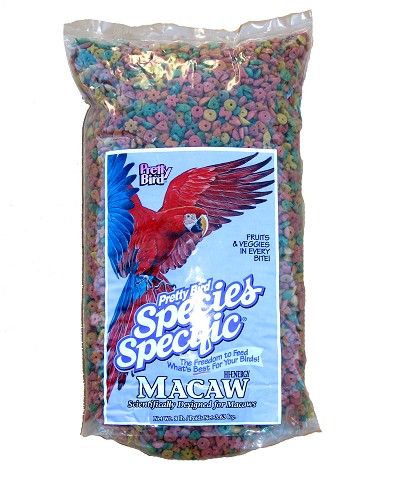 Pretty Bird - Hi-Energy Macaw