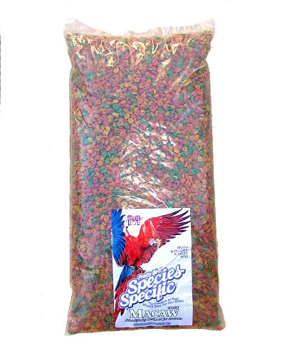 Pretty Bird - Hi-Energy Macaw