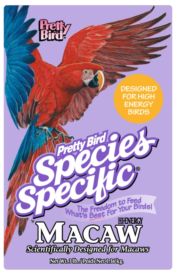 Pretty Bird - Hi-Energy Macaw